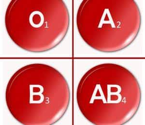 דיאטה לפי סוגי דם
