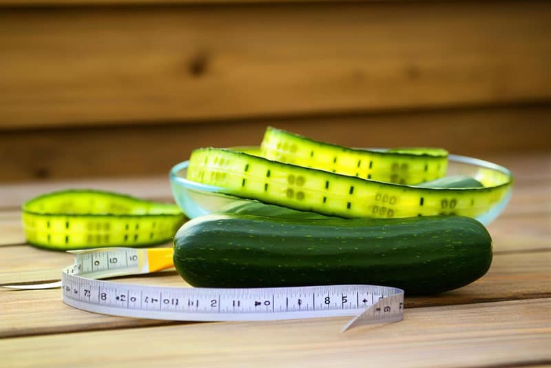 דיאטת מלפפונים