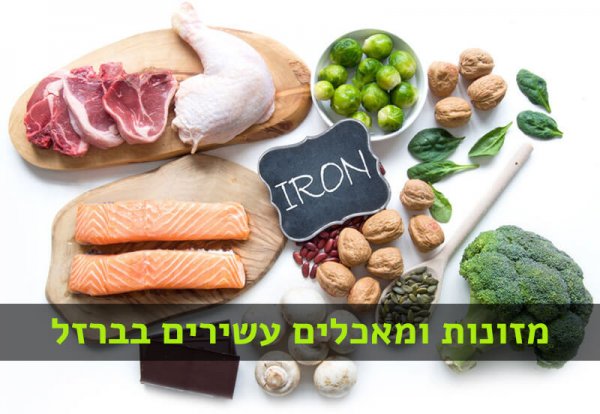 מזונות עשירים בברזל מאכלים עם ברזל