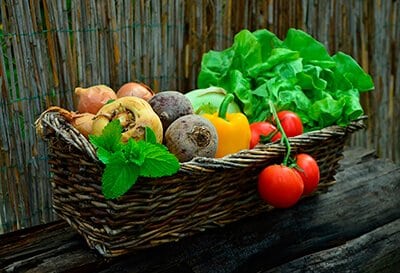 vegetarian-food דיאטה צמחונית מאכלים