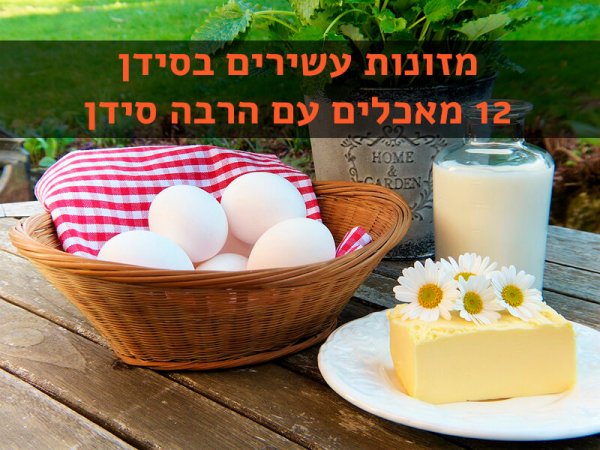 calcium-foods מאכלים עם סידן עשירים בסידן