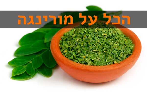 מורינגה מורינגה יתרונות בריאותיים