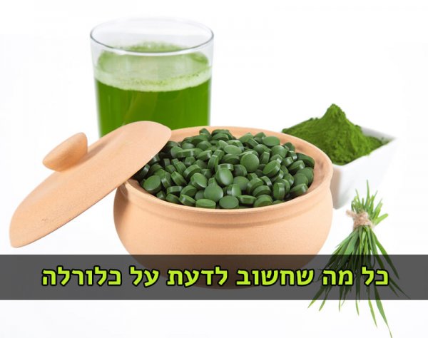 כלורלה כלורלה מידע + כמוסות לרכישה