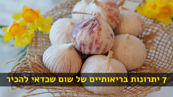 garlic שום - ערך תזונתי, מידע, יתרונות בריאותיים